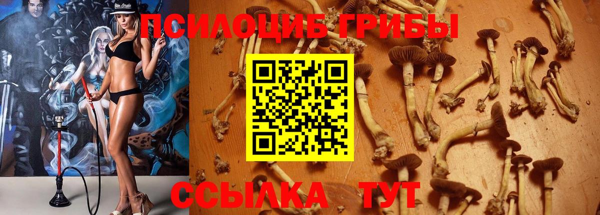 Мефедрон Луга