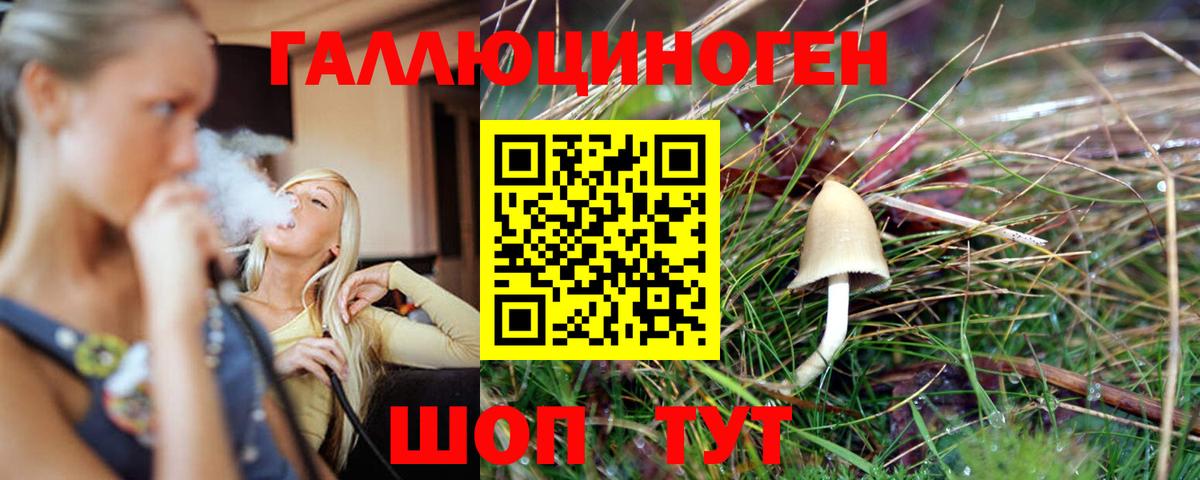 Псилоцибиновые грибы мухоморы  Вход с VPN  Луга  Галлюциногенные грибы Psilocybe 