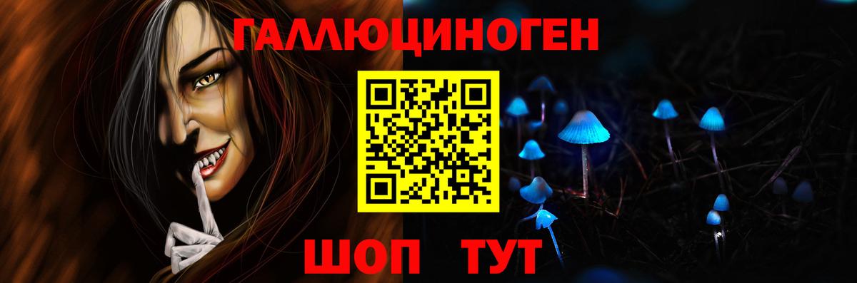 Галлюциногенные грибы Psilocybe Луга